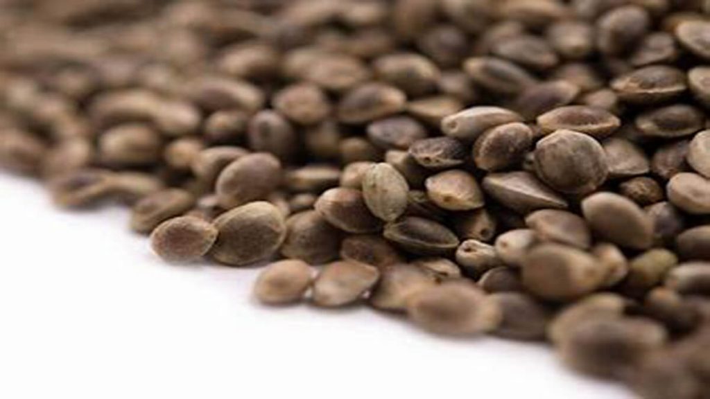 Health Benefits of Hemp Seeds