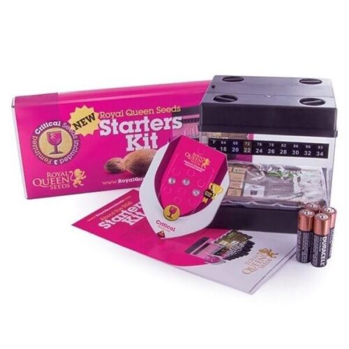 RQS Feminised Starters Kit