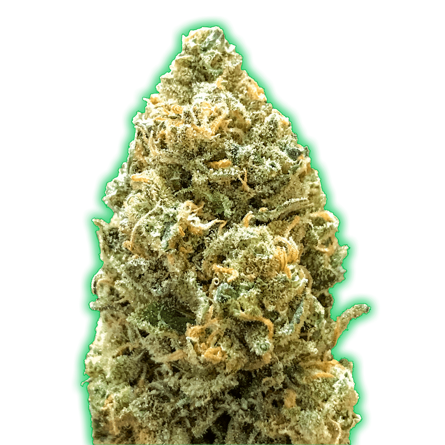 Bruce banner auto monster genetics как растить