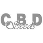 CBD Seeds cannabis seed bank