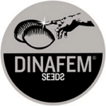 Dinafem Seeds Cannabis Seed breeders