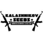 kalashnikov seeds