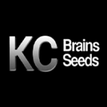 KC Brains Seeds