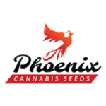 Phoenix cannabis seeds