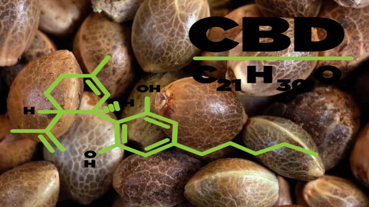 Types of CBD seeds