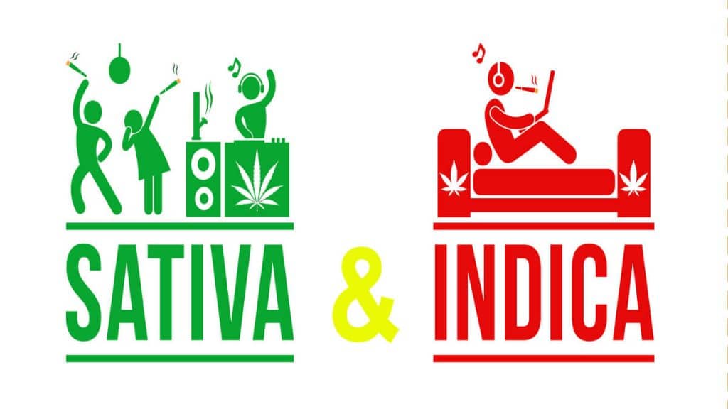 Sativa and Indica