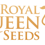 Royal Queen Seeds cannabis seed breeders