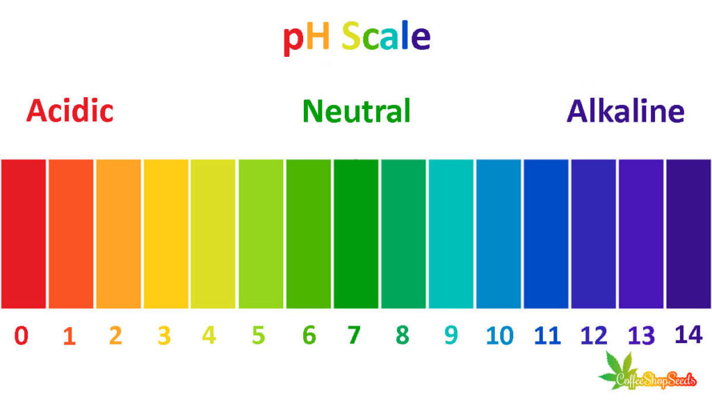 pH Levels Affect Cannabis