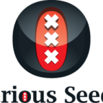 Serious Seeds