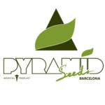 Pyramid Seeds cannabis seed breeders logo