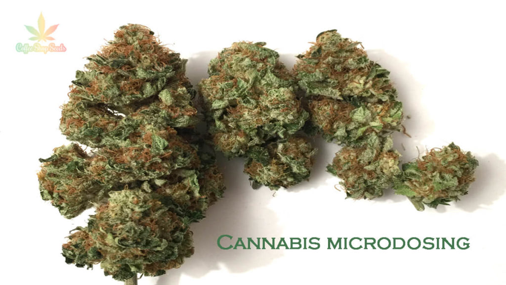 Microdosing and Medical Marijuana