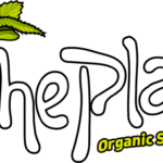 The plant Organic Seeds