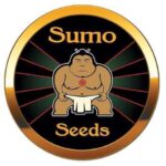 Sumo Seeds marijuana seeds