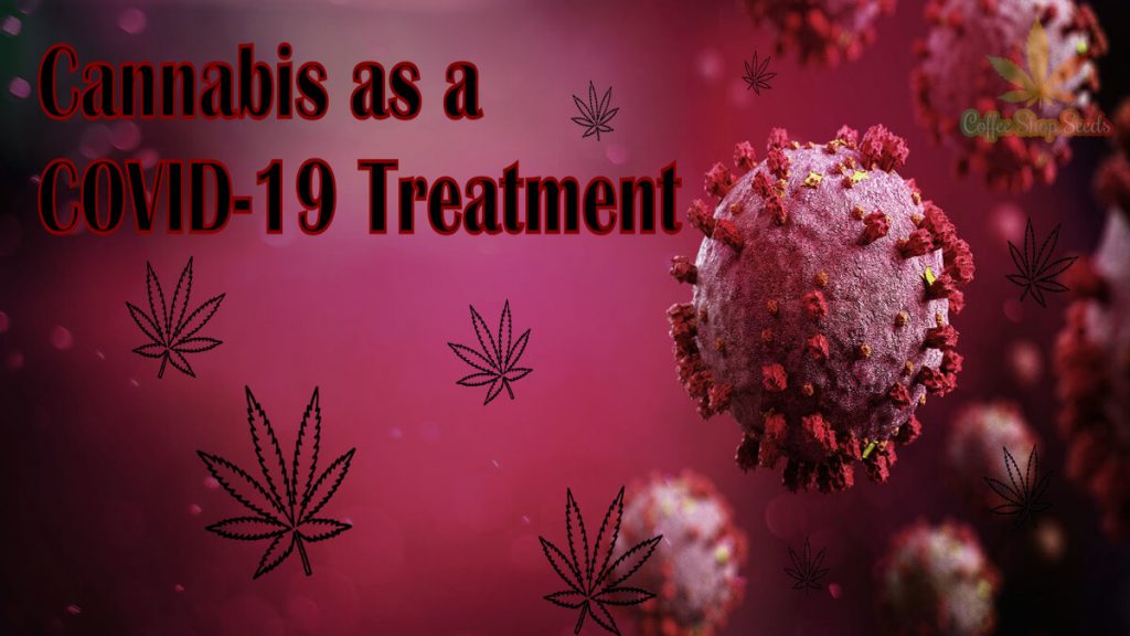 Cannabis as a COVID-19 Treatment