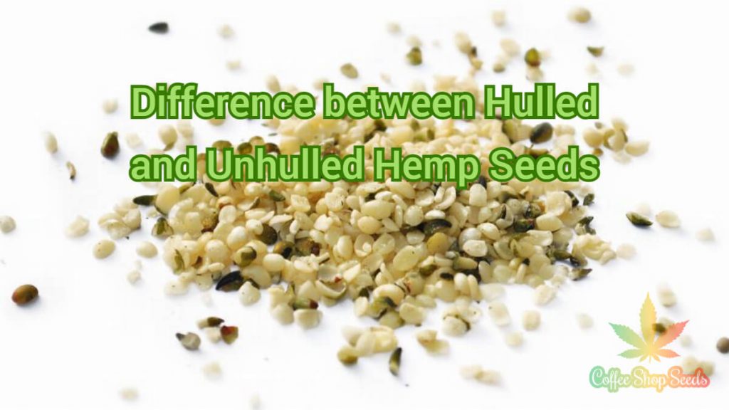 Difference between Hulled and Unhulled Hemp Seeds