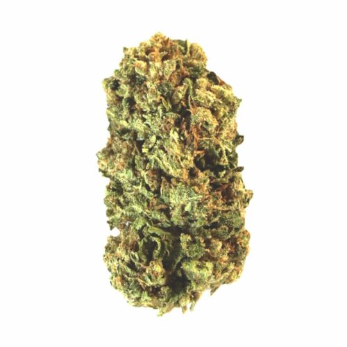 Compromise CBD Feminised Cannabis Seeds (Version 2) by Amsterdam Genetics