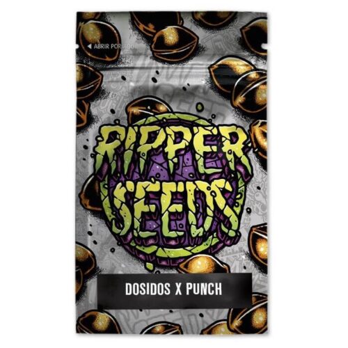 Do-Si-Dos x Purple Punch Feminised Cannabis Seeds by Ripper Seeds