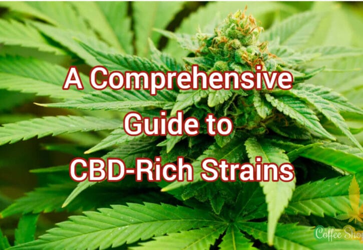 Maximising the Medicinal Benefits of Cannabis: A Comprehensive Guide to CBD-Rich Strains