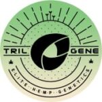 Trilogene seeds