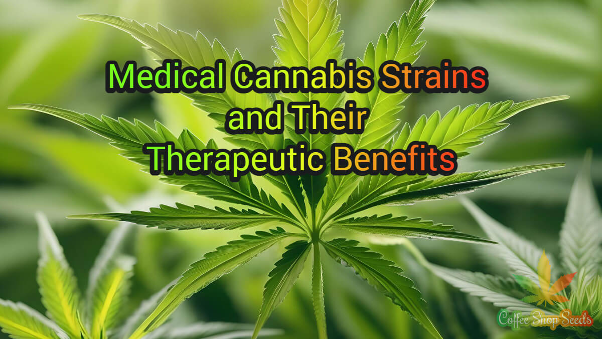 Medical Cannabis Strains and Their Therapeutic Benefits