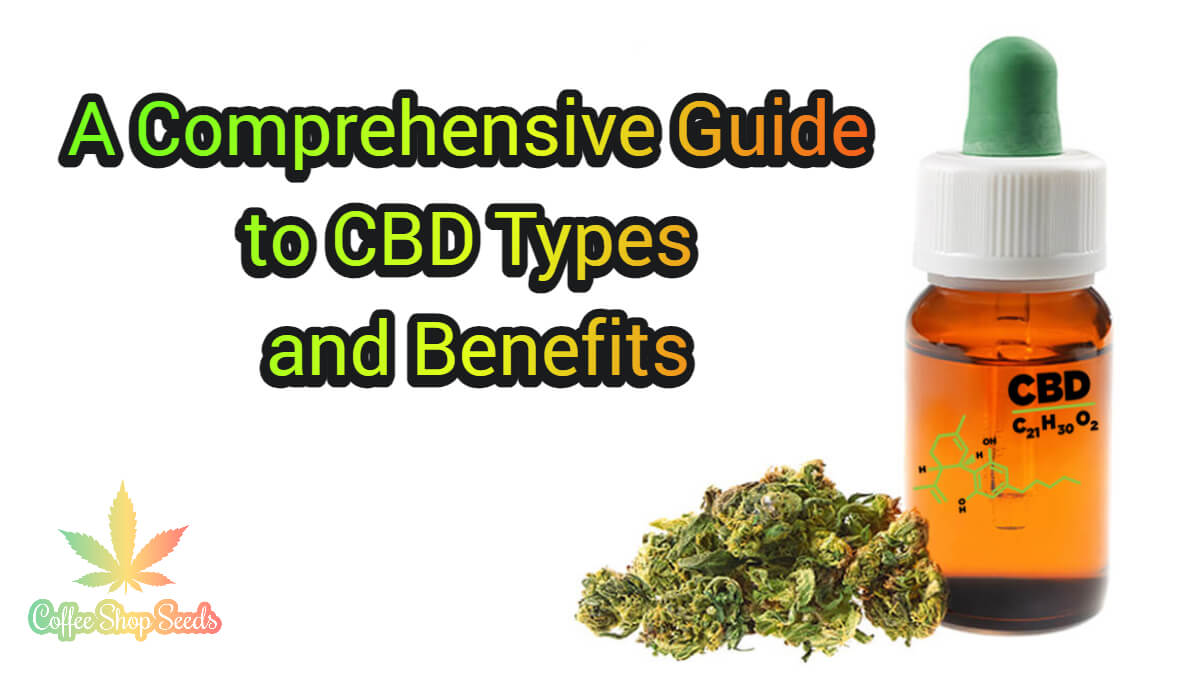 A Comprehensive Guide to CBD Types and Benefits