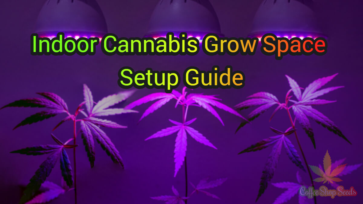 Indoor Cannabis Grow Space Setup Guide