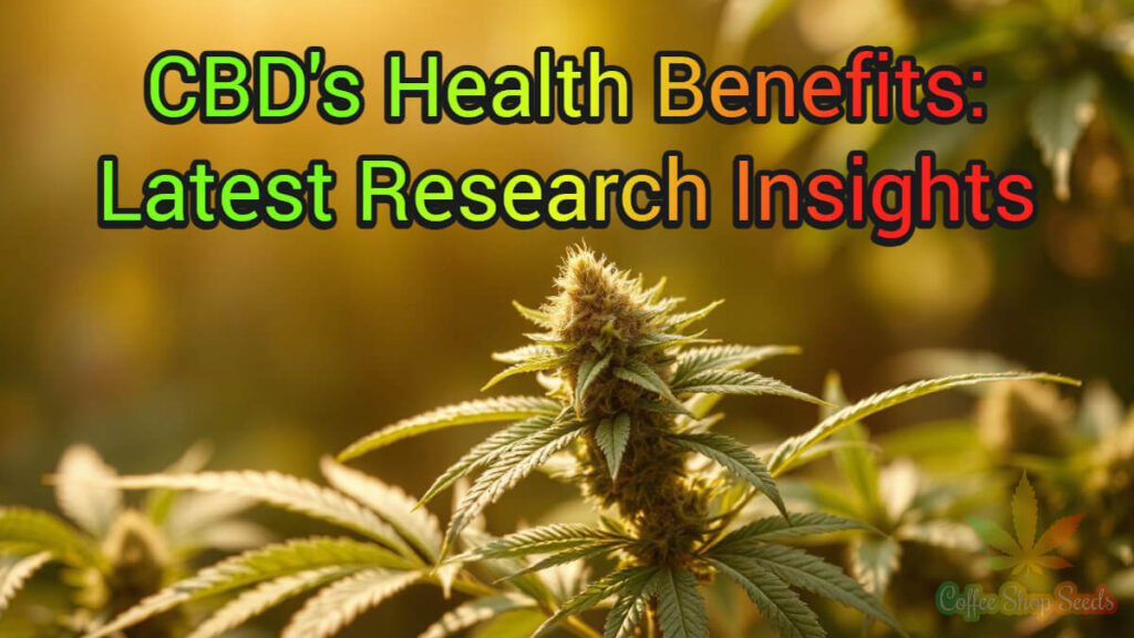 CBD's Health Benefits: Latest Research Insights