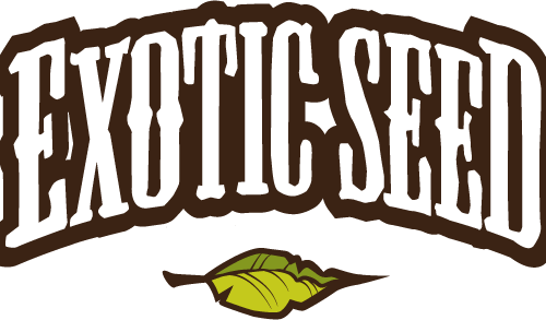 exotic seed logo