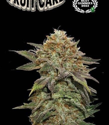 Fruit Cake Feminised Cannabis Seeds by Seedstockers