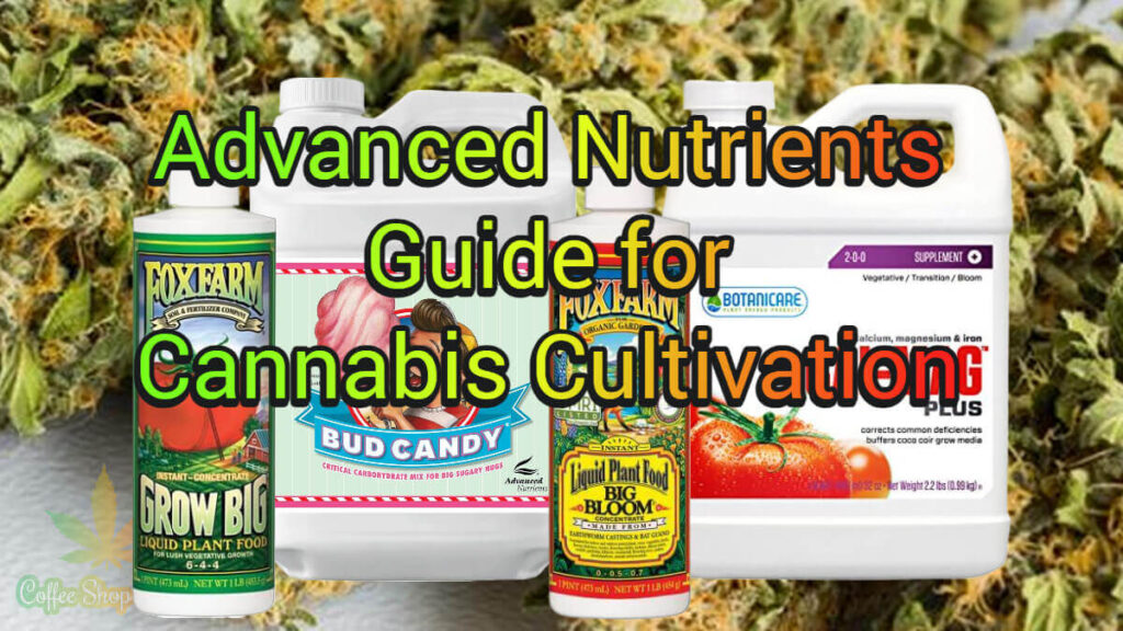 Advanced Nutrients Guide for Cannabis Cultivation