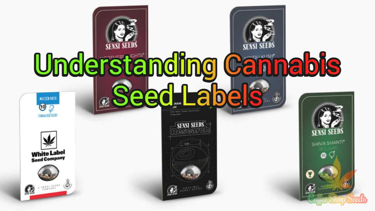 Understanding Cannabis Seed Labels